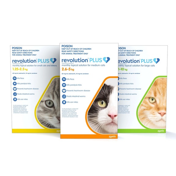 New Revolution PLUS for Cats 🐱 + Save on Bravecto Dog 🐾